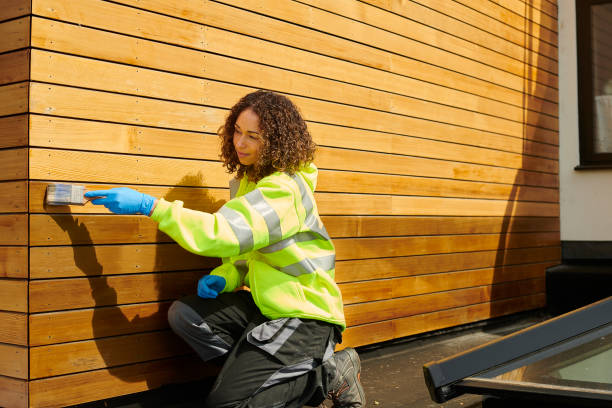 Best Storm Damage Siding Repair  in Long Lake, MN